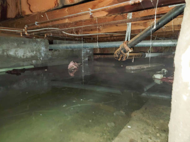Best 24/7 water damage repair  in Friendly, MD