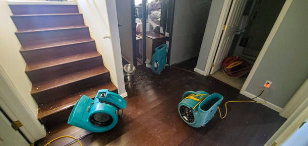 Best Flooded house restoration  in Friendly, MD