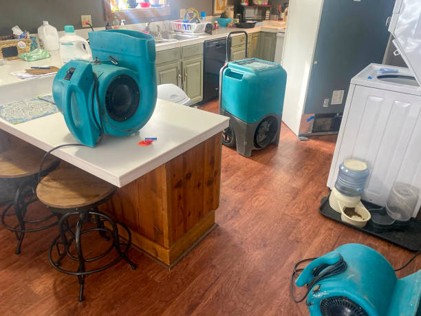 Best Basement water damage restoration  in Friendly, MD