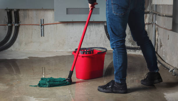 Best Local water damage restoration  in Friendly, MD