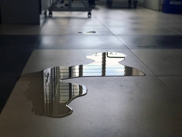 Best Water damage restoration near me  in Friendly, MD