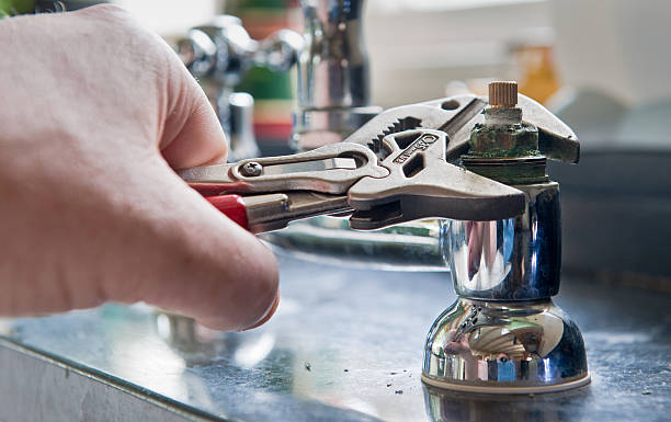Best Mold removal after water damage  in Friendly, MD