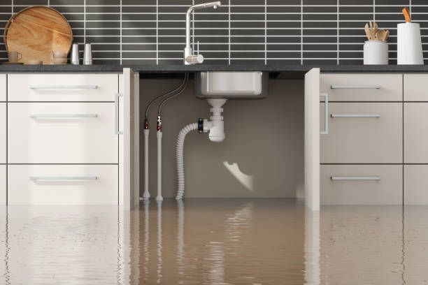 Best Flood restoration services  in Friendly, MD